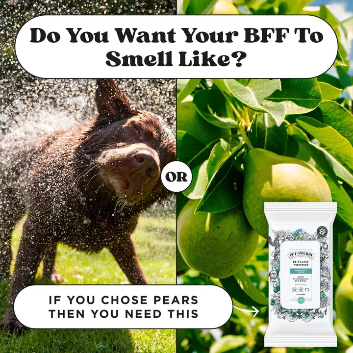 Pet~Pourri - Pet Coat Wipes - 50ct - Pawsitively Fresh Scent